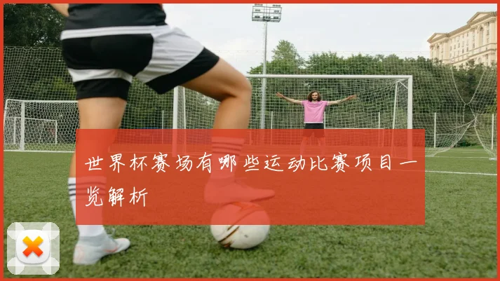 世界杯赛场有哪些运动比赛项目一览解析