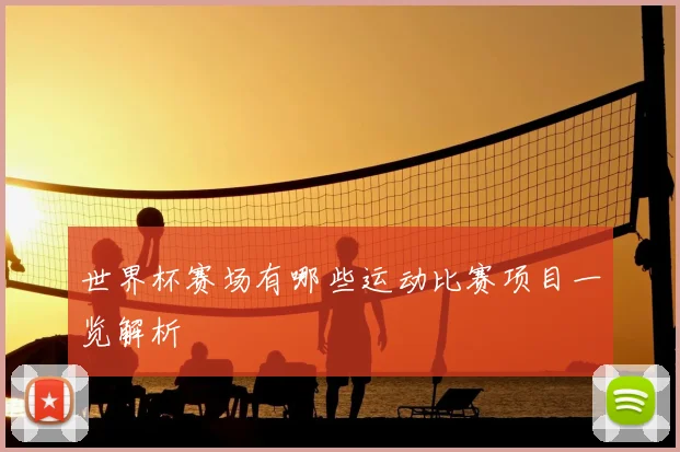 世界杯赛场有哪些运动比赛项目一览解析