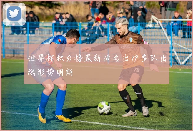 世界杯积分榜最新排名出炉多队出线形势明朗