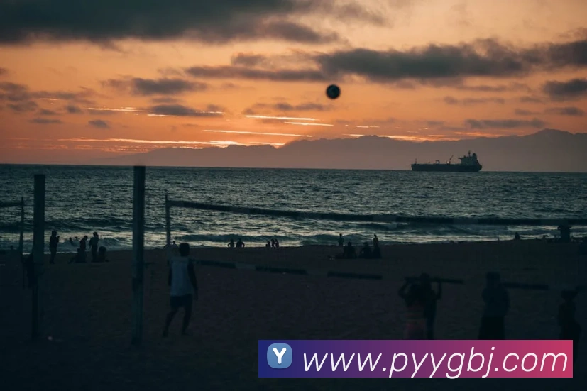 leyu乐鱼官方在线登录入口平台生态图